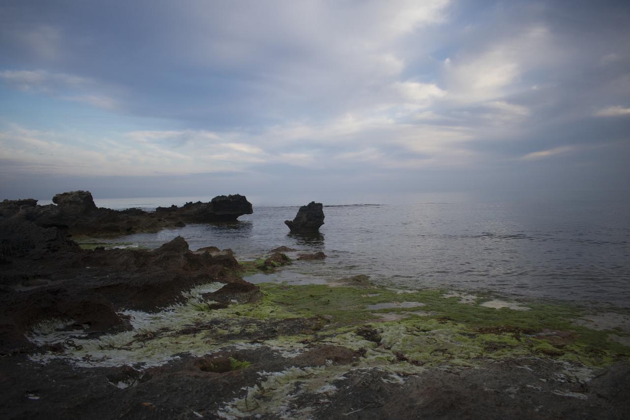 Case Cala Bucerno Castelluzzo Εξωτερικό φωτογραφία